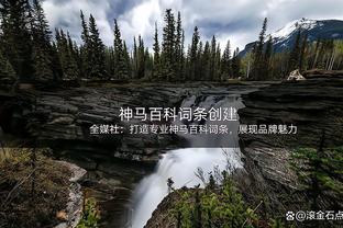 曼奇尼谈离开意大利：教练可以被解雇，当然也可以提前辞职离开